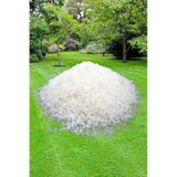 Çim Gübresi -Azotlu Çim Coşturan 2kg