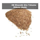 Çim Tohumu 1 Kg Dinamik 6M Dayanıklı Yoğun Basılan Alanlar İçin İdeal Çim Tohumu