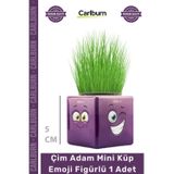 #ÇimAdam Hediyelik Eğitici Doğal Oyuncak Dekoratif Tasarım Çim Adam Mini Küp Emoji Figürlü 1 Adet