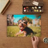 Çimenlerde Oturan Sevimli Köpek Tasarımı 240 Parça Ahşap Puzzle Ahşap Kutuda MP02038