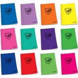 Çınar 75013 A5 Plastik Kapak College A5 80 Yaprak Çizgili 80/1 12'li Dikişli Defter