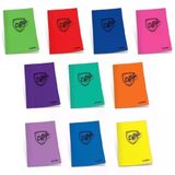 Çınar 76004 College Çizgili 80/1 Dikişli A4 80 Yaprak Plastik Kapak Defter