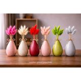 Çınar Asyada Home Karışık Lagurus Bunny Tail Grass 6 Demet (60 Dal)30-40 cm Şoklanmış Çiçek Pamuk Otu Kurutulmuş Çiçek