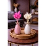 Çınar Asyada Home Pembe-Beyaz Lagurus Bunny Tail Grass 2 Demet 10'lu 30-40 cm Şoklanmış Çiçek Pamuk Otu Kurutulmuş Çiçek - Pembe - Beyaz