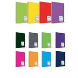 Çınar Colormaxi Plastik Kapak A5 96 Yaprak Kareli 96/4 Spiralli Defter