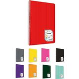 Çınar Colormaxi Spiralli A5 96 Yaprak Çizgili Defter