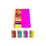ÇINAR DEFTER A4 Plastik Kapak Spiralli Seperatörlü 5 Kareli 1 Çizgili 150 Yp. Ayraçlı Defter 5+1