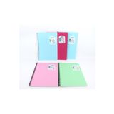 ÇINAR DEFTER Defne Defter 40 Yaprak Çizgili Metod Pp. Kapak Spiralli Defter