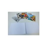 ÇINAR DİZAYN Resim Defteri Spiralli Karton Kapak 17x25 Cm 15 Yaprak Çınar Resim Defteri Küçük Boy