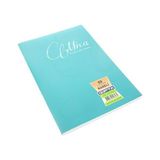 Çınar Gıpta Mica 80 Yaprak Pp A4 Kareli Defter - 2 Adet - Karışık