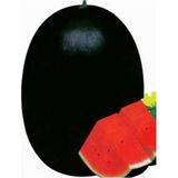 Çınar Tohum ÇınarTohum Meşhur Halep Siyah Karpuz Tohumu 15 Tohum Ekonomik ve Pratik Seçenek - 1 Paket