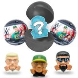 Çınar Toptan Ticaret Mashems WWE Serisi 1 Sürpriz Paket