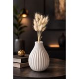 ÇINARASYADAHOME Beyaz Lagurus Bunny Tail Grass 15 Baş-Dal 30-40 cm Şoklanmış Çiçek Pamuk Otu Demeti Kurutulmuş Çiçek