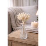 ÇINARASYADAHOME Beyaz Lagurus Bunny Tail Grass 30 Baş-Dal 30-40 cm Şoklanmış Çiçek Pamuk Otu Demeti Kurutulmuş Çiçek