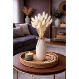 ÇINARASYADAHOME Beyaz Lagurus Bunny Tail Grass 40 Baş-Dal 30-40 cm Şoklanmış Çiçek Pamuk Otu Kurutulmuş Çiçek