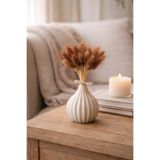 ÇINARASYADAHOME Kahverengi Lagurus Bunny Tail Grass 15 Baş-Dal 30-40 cm Şoklanmış Çiçek Pamuk Otu Kurutulmuş Çiçek
