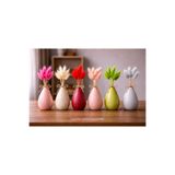 ÇINARASYADAHOME Karışık Lagurus Bunny Tail Grass 6 Demet (60 Dal)30-40 cm Şoklanmış Çiçek Pamuk Otu Kurutulmuş
