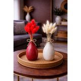 ÇINARASYADAHOME Kırmızı-Beyaz Lagurus Bunny Tail Grass 2 Demet 10'lu 30-40 cm Şoklanmış Çiçek Pamuk Otu Kurutulmuş