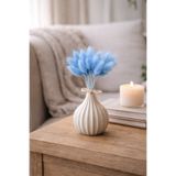 ÇINARASYADAHOME Mavi Lagurus Bunny Tail Grass 15 Baş-Dal 30-40 cm Şoklanmış Çiçek Pamuk Otu Demeti Kurutulmuş Çiçek