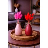 ÇINARASYADAHOME Pembe-Kırmızı Lagurus Bunny Tail Grass 2 Demet 10'lu 30-40 cm Şoklanmış Çiçek Pamuk Otu Kurutulmuş