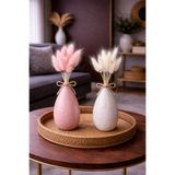 ÇINARASYADAHOME Tozpembe-Beyaz Lagurus Bunny Tail Grass 2 Demet 10'lu 30-40 cm Şoklanmış Çiçek Pamuk Otu Kurutulmuş