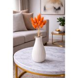 ÇINARASYADAHOME Turuncu Lagurus Bunny Tail Grass 30 Baş-Dal 30-40 cm Şoklanmış Çiçek Pamuk Demeti Kurutulmuş Çiçek