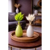 ÇINARASYADAHOME Yeşil-Beyaz Lagurus Bunny Tail Grass 2 Demet 10'lu 30-40 cm Şoklanmış Çiçek Pamuk Otu Kurutulmuş