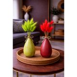 ÇINARASYADAHOME Yeşil-Kırmızı Lagurus Bunny Tail Grass 2 Demet 10'lu 30-40 cm Şoklanmış Çiçek Pamuk Otu Kurutulmuş