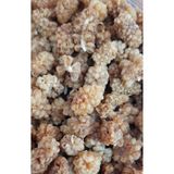 Cıngı Baharat Kurukahve Beyaz Dut Kurusu 1 Kg (YENİ SEZON)