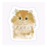Cins Kedi İran Kedisi Araba Oto Sticker Etiket Renkli V7