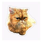 Cins Kedi İran Kedisi Araba Oto Sticker Etiket Renkli Z1
