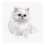 Cins Kedi İran Kedisi Araba Oto Sticker Etiket Renkli Z3