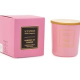 Cioness SCENTBOX HARMONY OF POWDER 120 GR Kokulu Bardak Mum - Scented Candle