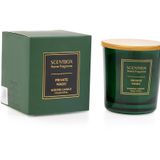 Cioness SCENTBOX PRIVATE MAGIC 120 GR Kokulu Bardak Mum - Scented Candle