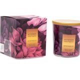 Cioness SCENTBOX SPONTANEOUS 120 GR Kokulu Bardak Mum - Scented Candle