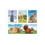 Circle Toys Eğitici Oyuncak Dokun Hisset Kartlarım Yavru Hayvanlar, PİYACİRCLE2