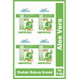 Cire Aseptine Aloe Vera Dudak Bakım Kremi 4,5 Gr 4 Adet