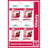 Cire Aseptine Lip Care Cherry Renkli Dudak Bakım Kremi 4,5 Gr 4 Adet