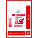CIRE ASEPTINE Lip Care Çilek Renkli Dudak Bakım Kremi 4.5 G