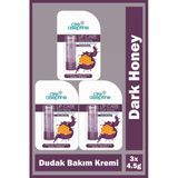 Cire Aseptine Lip Care Dark Honey Renkli Dudak Bakım Kremi 4,5 Gr 3 Adet
