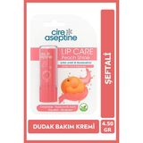 Cire Aseptine Lip Care Peach (Şeftali) Renkli Dudak Nemlendirici 4,5 G - Dudak Bakım Kremi