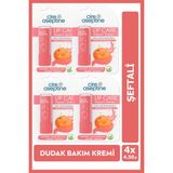 Cire Aseptine Lip Care Peach (Şeftali) Renkli Dudak Nemlendirici 4,5 G x 4 Adet - Dudak Bakım Kremi