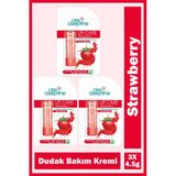 Cire Aseptine Lip Care Strawberry Renkli Dudak Bakım Kremi 4,5 Gr 3 Adet