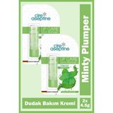 Cire Aseptine Mentol Dudak Bakım Kremi 4,5 Gr 2 Adet