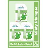 Cire Aseptine Mentol Dudak Bakım Kremi 4,5 Gr 3 Adet