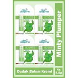 Cire Aseptine Mentol Dudak Bakım Kremi 4,5 Gr 4 Adet