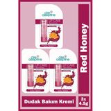 Cire Aseptine Red Honey Renkli Nemlendirici Dudak Bakım Kremi 4,5 Gr 3 Adet