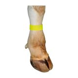 Cırtlı Büyükbaş Ayak İşaretleme Bandı Sarı (10 adet/paket)