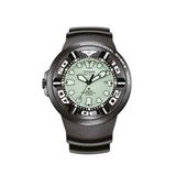 Citizen BJ8055-04X Promaster Dive Ecozilla Siyah-Gümüş Erkek Kol Saati