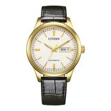 Citizen NY4059-09AC Gümüş Gold Altın Rengi Deri Erkek Kol Saati
